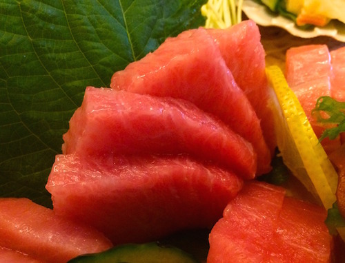 Matsumi tuna sashimi - o-toro