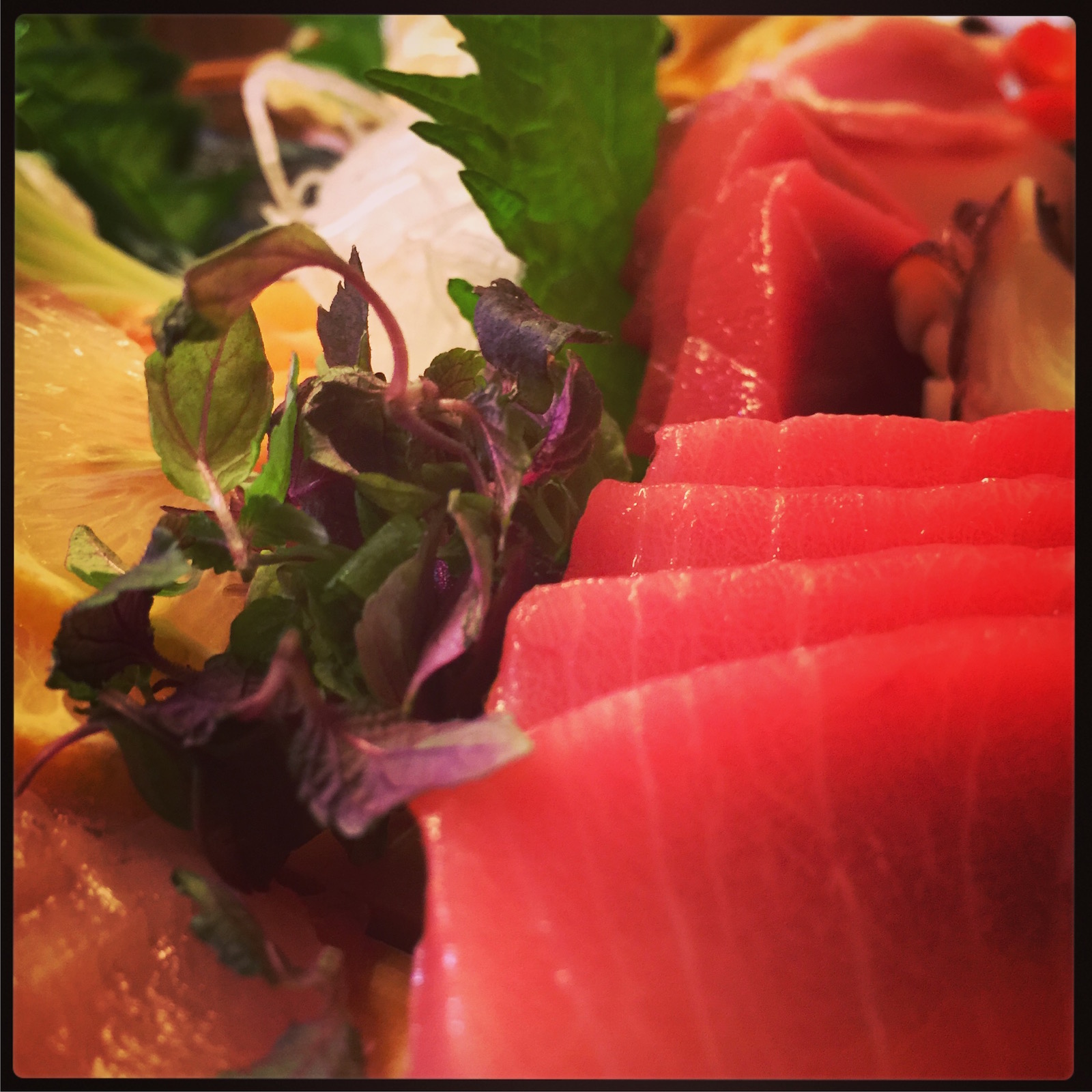 Matsumi - tuna sashimi
